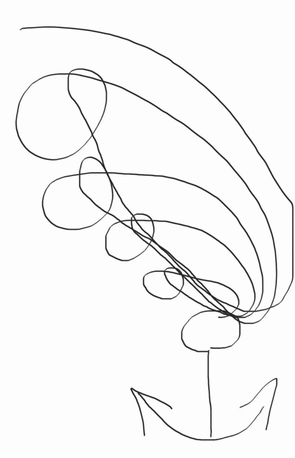 A fine-line drawing on a pale background
